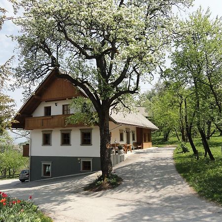 Farm Stay Dolinar Krainer Bohinjska Bela Luaran gambar
